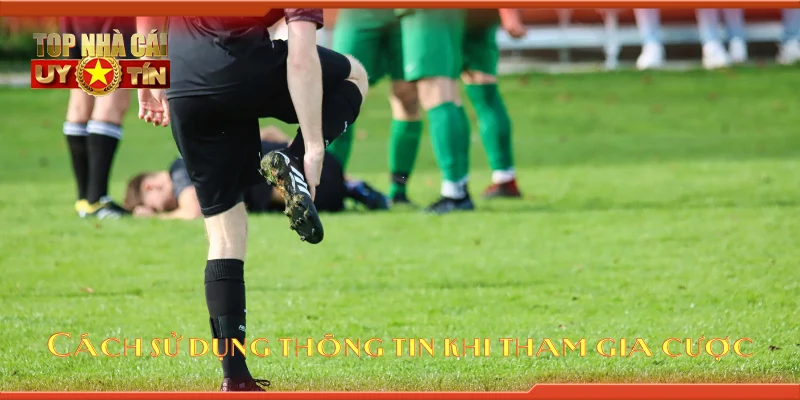 Cách sử dụng thông tin khi tham gia cược