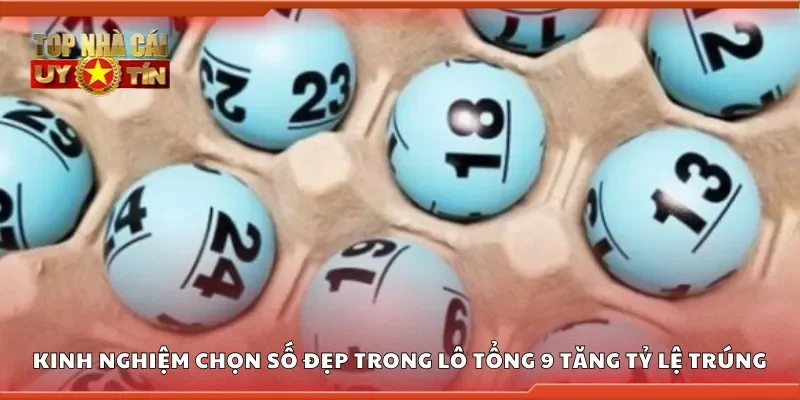 Kinh nghiệm chọn số đẹp trong lô tổng 9 để tối đa hóa tỷ lệ trúng
