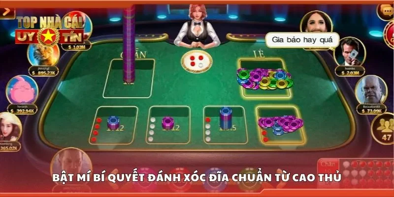 Bật mí bí quyết đánh xóc đĩa chuẩn từ cao thủ