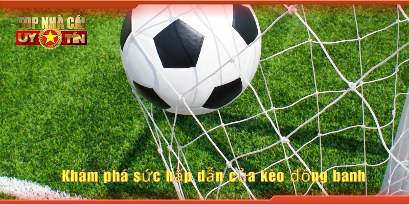 Khám phá sức hấp dẫn của tỷ lệ cược kèo đồng banh