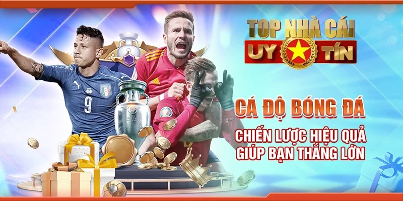 Cá Độ Bóng Đá – Chiến Lược Hiệu Quả Giúp Bạn Thắng Lớn