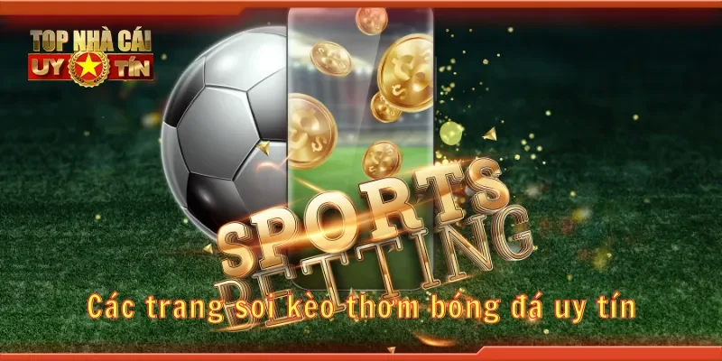 Các trang soi kèo thơm bóng đá uy tín