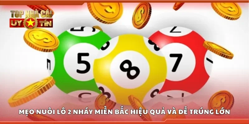 Mẹo nuôi lô 2 nháy miền Bắc hiệu quả và dễ trúng lớn
