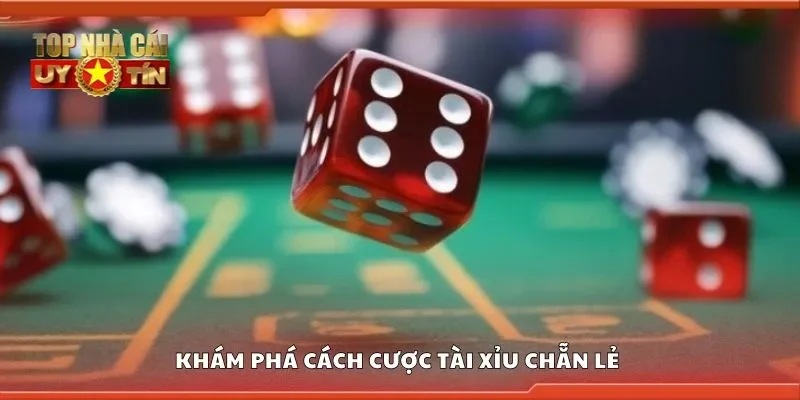 Khám phá cách cược tài xỉu chẵn lẻ