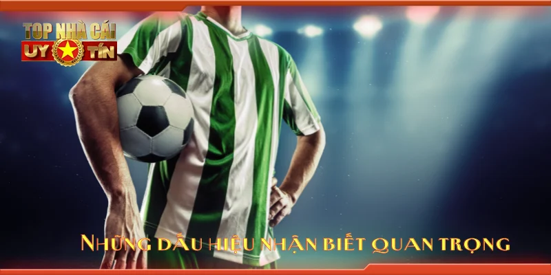 Những dấu hiệu nhận biết quan trọng