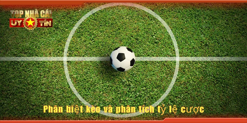 Phân biệt kèo và phân tích tỷ lệ cược