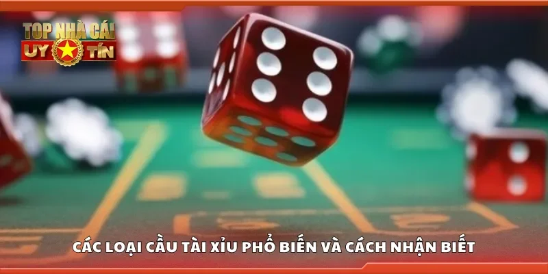 Các loại cầu tài xỉu phổ biến và cách nhận biết