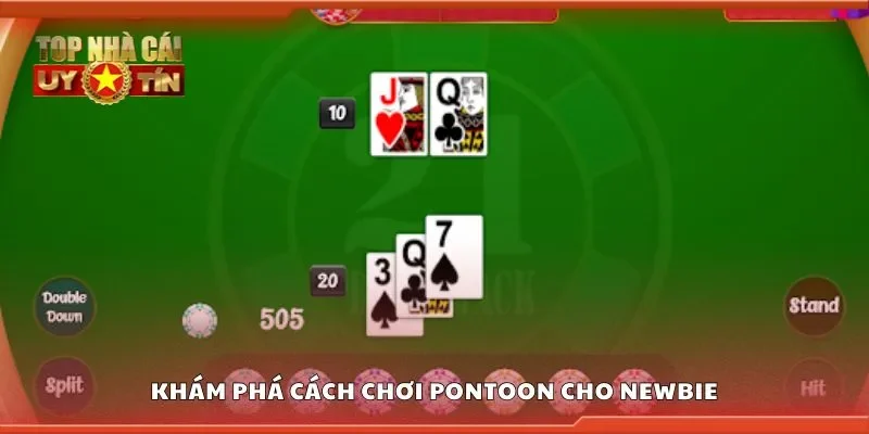 Khám phá cách chơi pontoon cho newbie