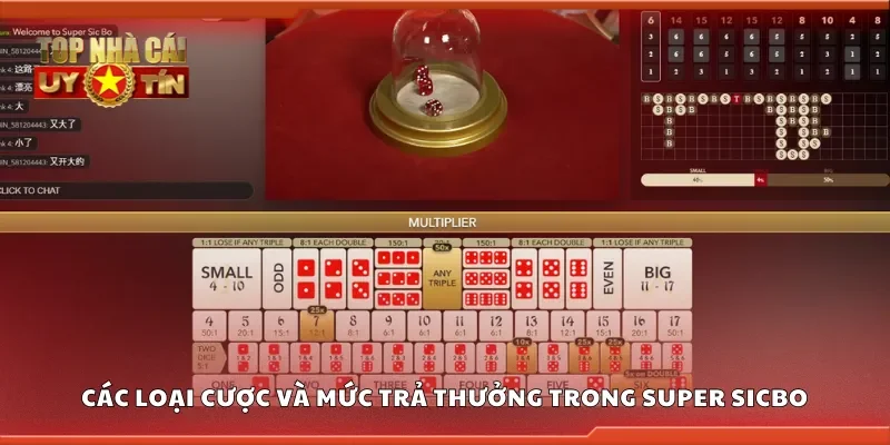 Khám phá các loại cược và mức trả thưởng trong super sicbo