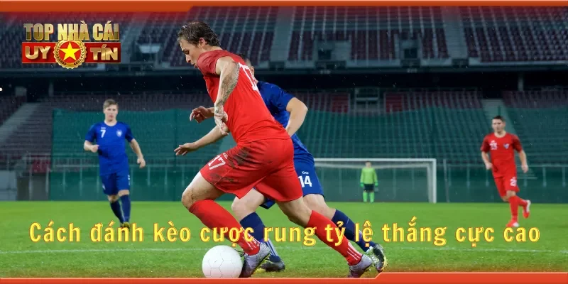 Cách đánh kèo cược rung tỷ lệ thắng cực cao