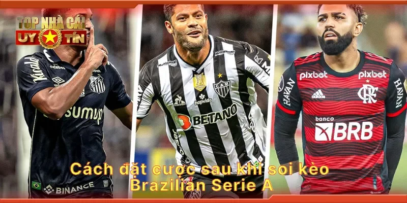 Cách đặt cược sau khi soi kèo Brazilian Serie A