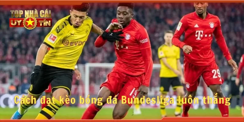 Cách đặt kèo bóng đá Bundesliga luôn thắng