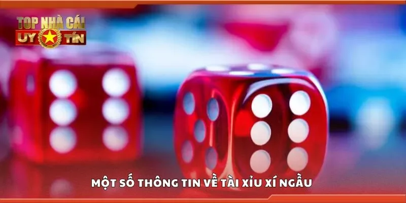 Một số thông tin về tài xỉu xí ngầu