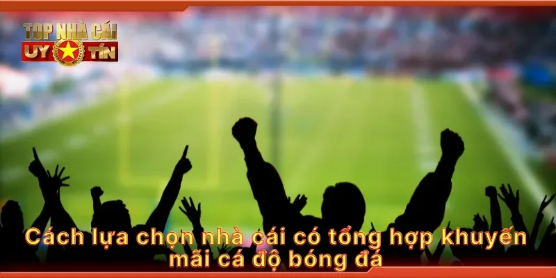 Cách lựa chọn nhà cái có tổng hợp khuyến mãi cá độ bóng đá