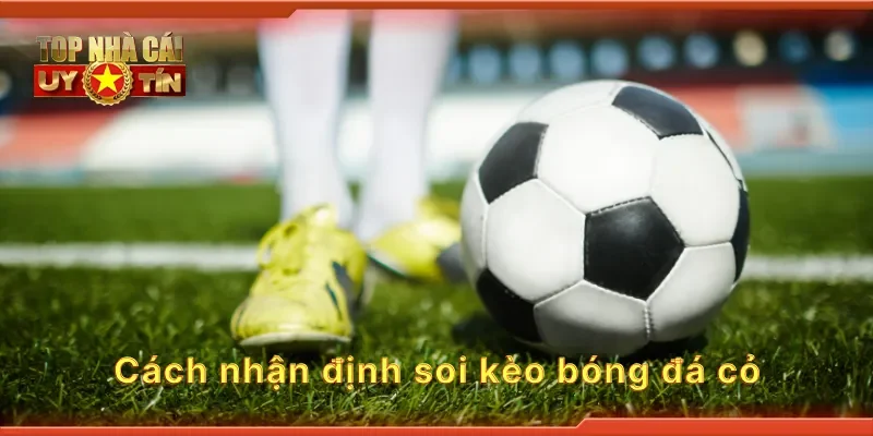 Cách nhận định soi kèo bóng đá cỏ