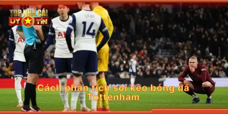 Cách phân tích soi kèo bóng đá tottenham