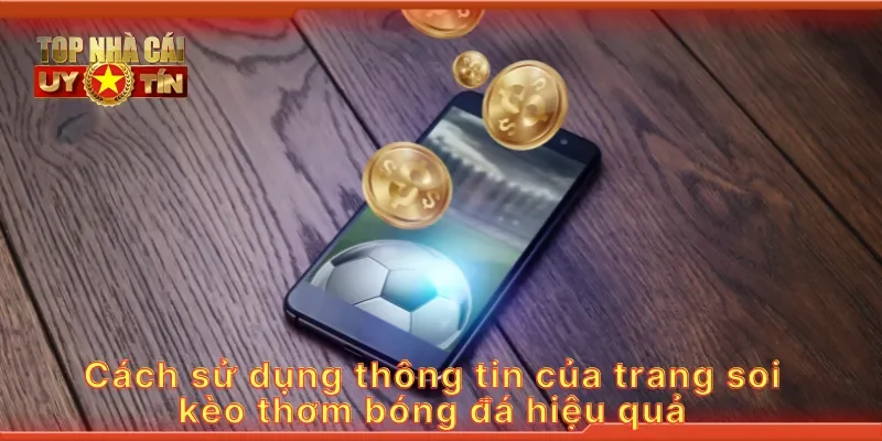 Cách sử dụng thông tin của trang soi kèo thơm bóng đá hiệu quả