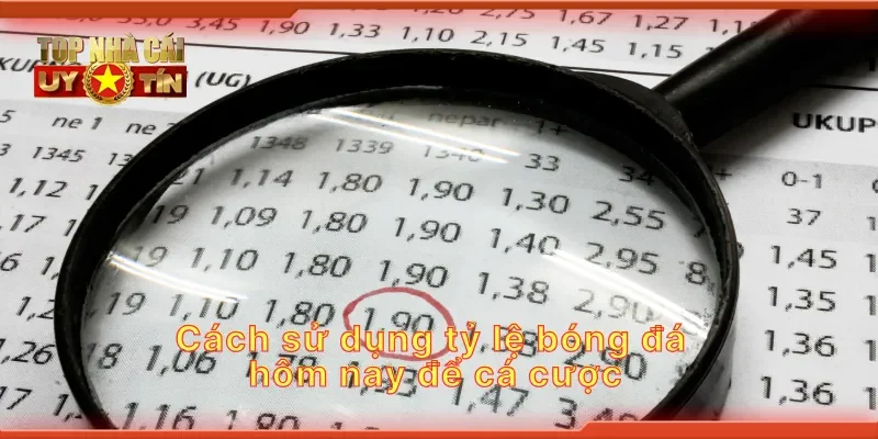 Cách sử dụng tỷ lệ bóng đá hôm nay để cá cược