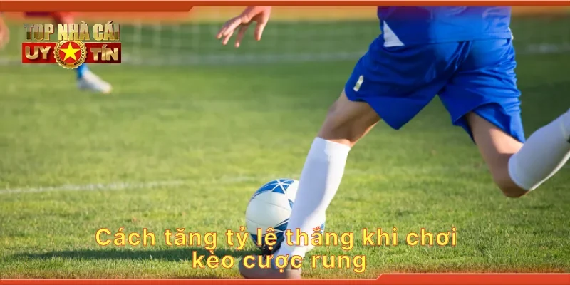Cách tăng tỷ lệ thắng khi chơi kèo cược rung