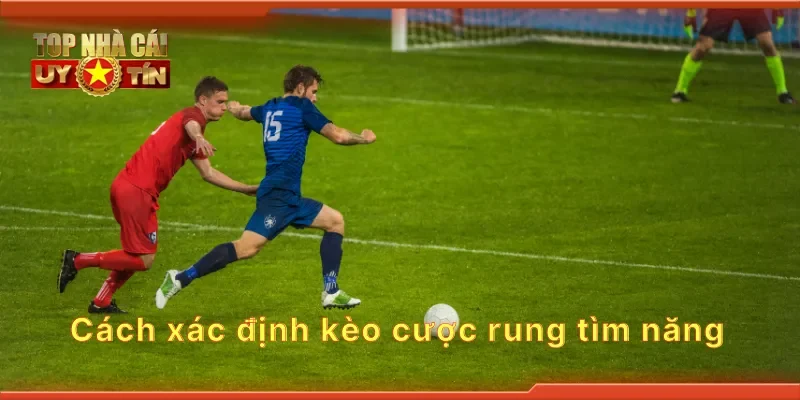 Cách xác định kèo cược rung tìm năng