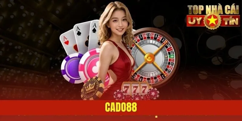 CADO88 - Nền Tảng Cá Cược Chuyên Nghiệp Dành Cho Tân Thủ