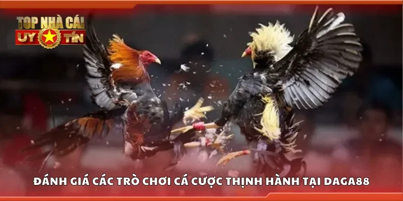 Đánh giá các trò chơi cá cược thịnh hành tại Daga88