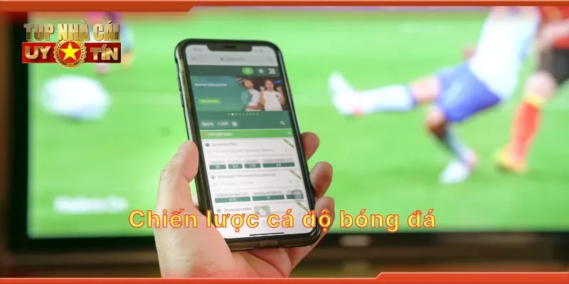 Chiến lược cá độ bóng đá