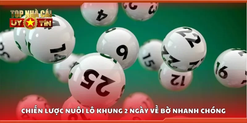 Chiến lược nuôi lô khung 2 ngày về bờ nhanh chóng