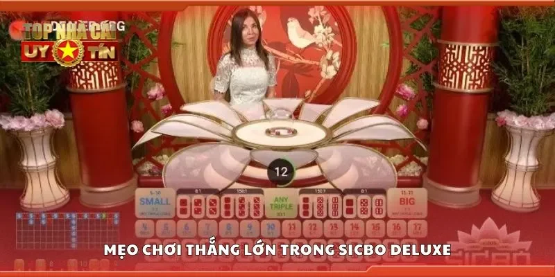 Mẹo chơi thắng lớn trong sicbo deluxe