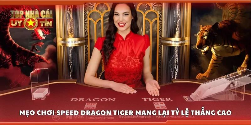 Mẹo chơi speed dragon tiger mang lại tỷ lệ thắng cao