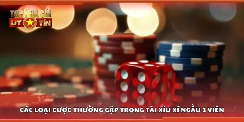 Các loại cược trong tài xỉu xí ngầu 3 viên