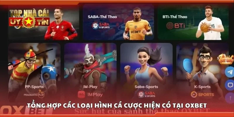 Tổng hợp các loại hình cá cược hiện có tại Oxbet
