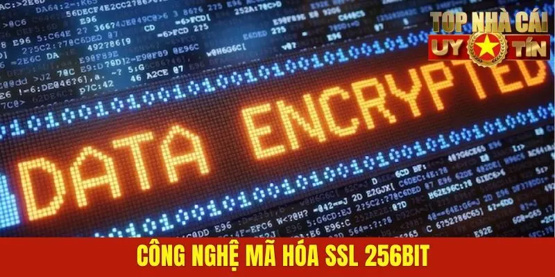 Công nghệ mã hóa SSL 256bit