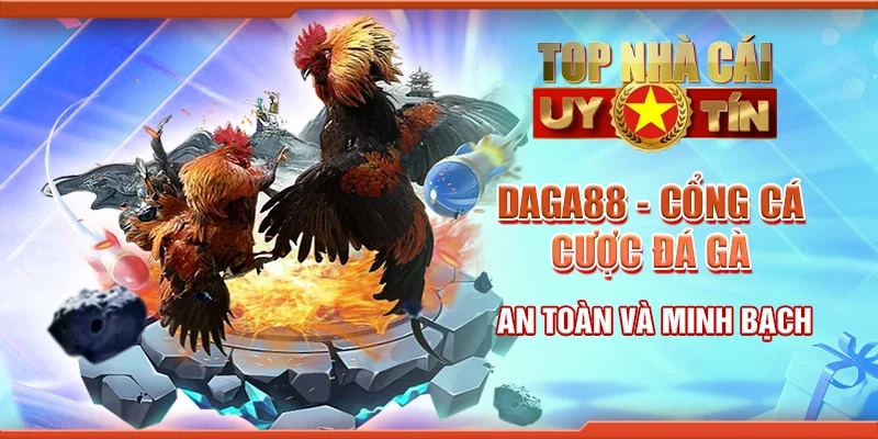 Daga88 - Cổng cá cược đá gà an toàn và minh bạch