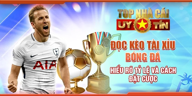 Đọc Kèo Tài Xỉu Bóng Đá Hiểu Rõ Tỷ Lệ Và Cách Đặt Cược