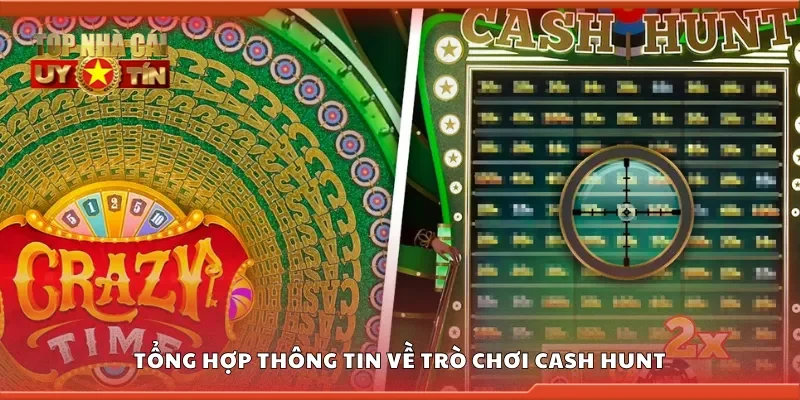 Tổng hợp thông tin về trò chơi cash hunt