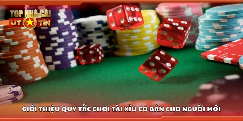 Giới thiệu quy tắc chơi tài xỉu cơ bản cho người mới