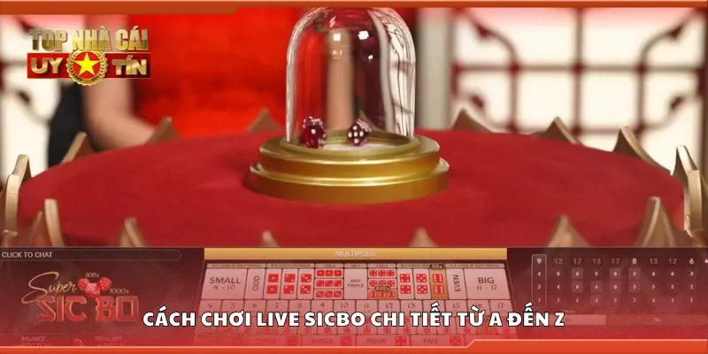 Cách chơi Live Sicbo chi tiết từ A đến Z