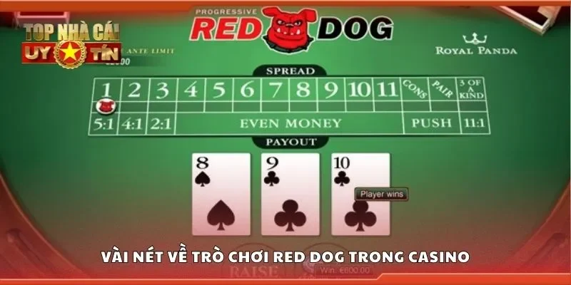 Vài nét về trò chơi red dog trong casino