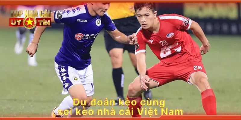Dự đoán kèo cùng soi kèo nhà cái Việt Nam
