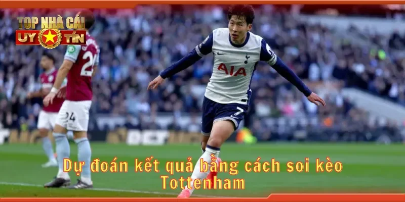 Dự đoán kết quả bằng cách soi kèo tottenham