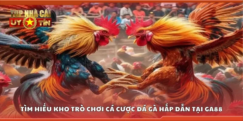 Tìm hiểu kho trò chơi cá cược đá gà hấp dẫn tại GA88