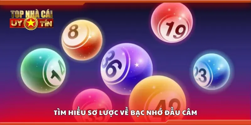 Tìm hiểu sơ lược về bạc nhớ đầu câm