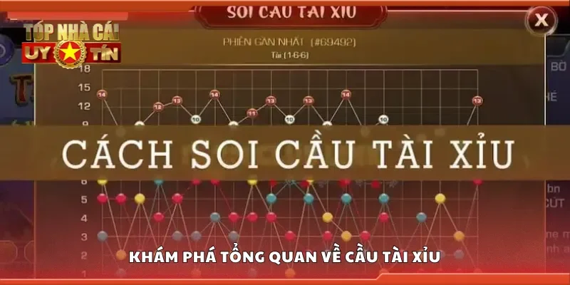 Khám phá tổng quan về cầu tài xỉu