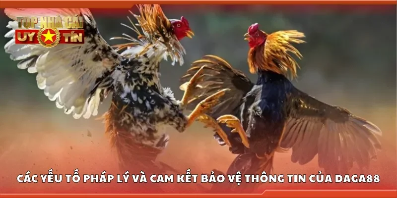 Các yếu tố pháp lý và cam kết bảo vệ thông tin của Daga88