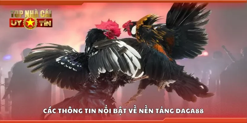 Các thông tin nổi bật về nền tảng Daga88
