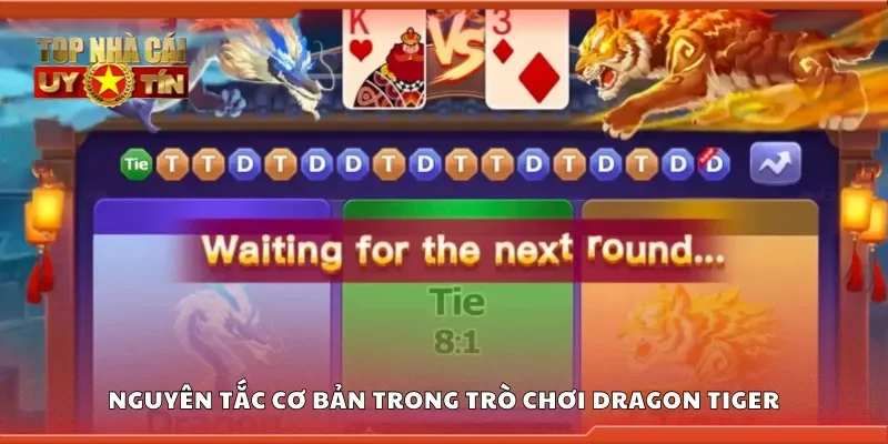 Nguyên tắc cơ bản trong trò chơi dragon tiger