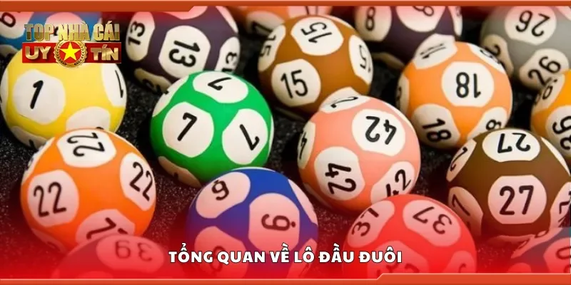 Tổng quan về lô đầu đuôi