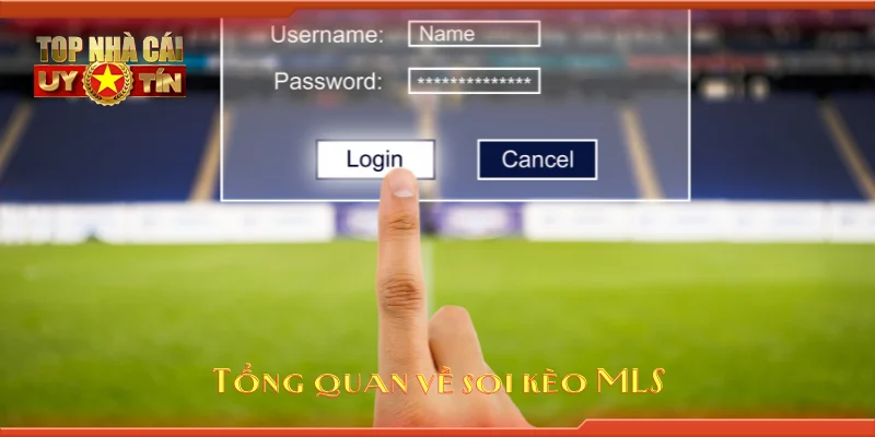 Tổng quan về soi kèo MLS