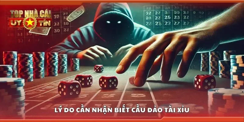 Lý do cần nhận biết cầu đảo tài xỉu